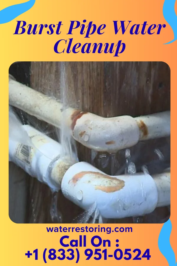 Burst Pipe Water Cleanup in Forksville, PA
