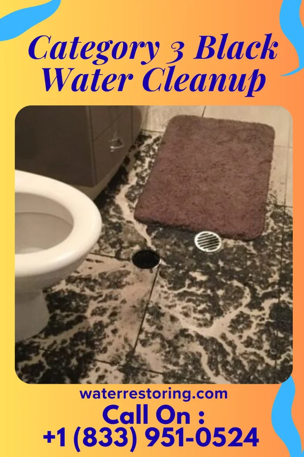 Category 3 Black Water Cleanup in Forksville, PA