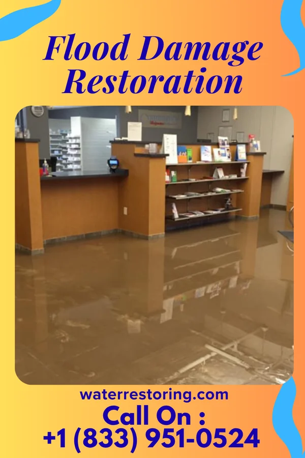 Flood Damage Restoration in Forksville, PA