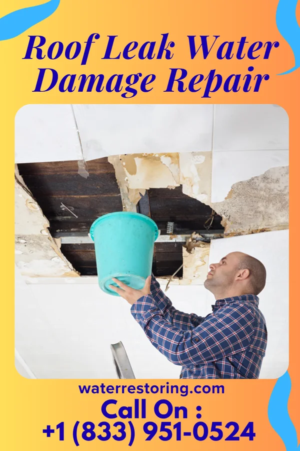 Roof Leak Water Damage Repair in Forksville, PA